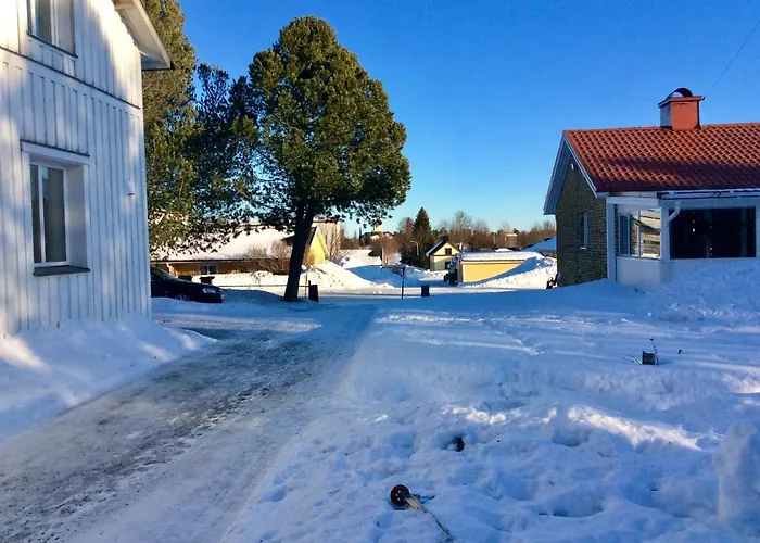 Haaparanta Koiraystävälliset Hotellit