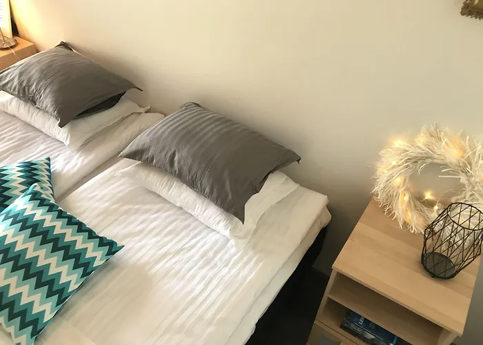 Jyväskylä Koiraystävälliset Hotellit